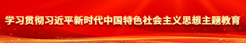 操美穴学习贯彻习近平新时代中国特色社会主义思想主题教育